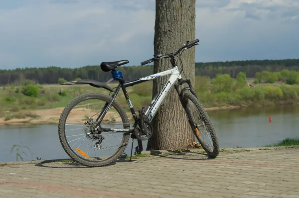 A bike standing on the bank of the river.