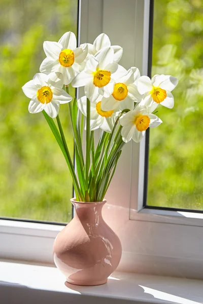 Flowers, daffodils on the window, greens