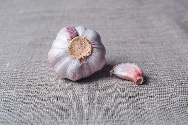 Bulbs of garlic and garlic cloves on a table