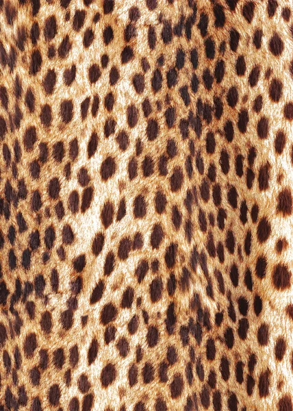 Animal print print