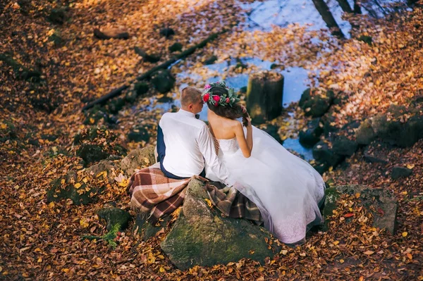 Newlyweds walk in the autumn forest