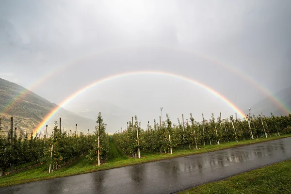 Double Rainbow after rain in Italy