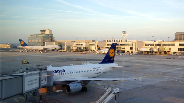 Lufthansa airplane at the gate in Frankfurt
