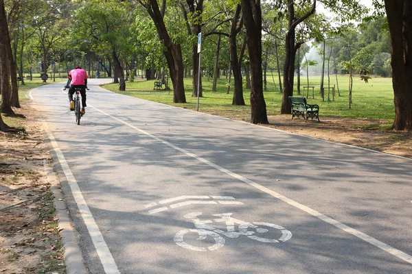 Man bike bicycle in bicycle lane