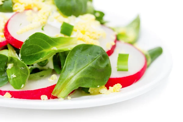 Fresh salad with radishes and corn salad with cream and egg sauce