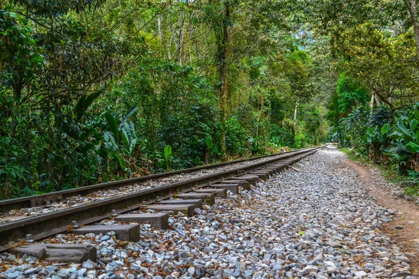 Railway through forest