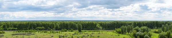 Panorama of green trees and blue sky