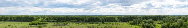 Panorama of green trees and blue sky