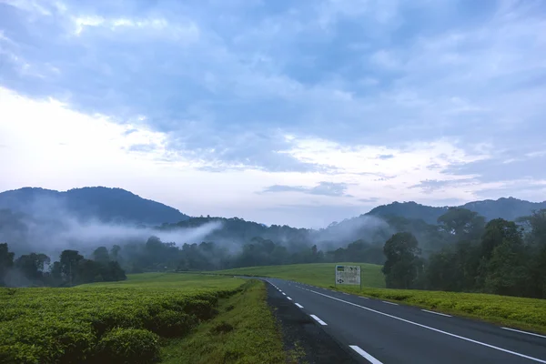 The dark sky. The sun goes down and seems spectacular between the very clean roads into rainforests, fogs and fields.