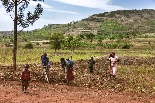 This women carrying her child on her back works in field to.