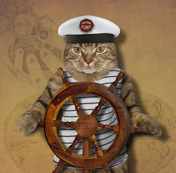 The cat is a ship captain.