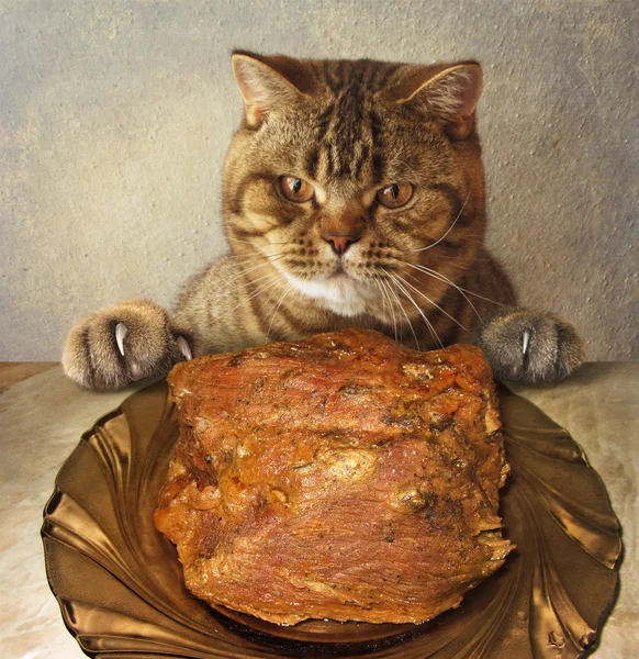 A cat and a big piece of meat.