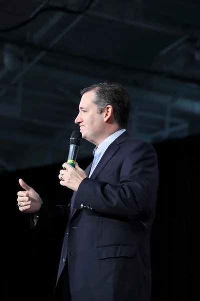 Ted Cruz speaking at a rally