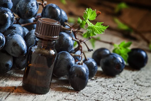Essential oil of grape