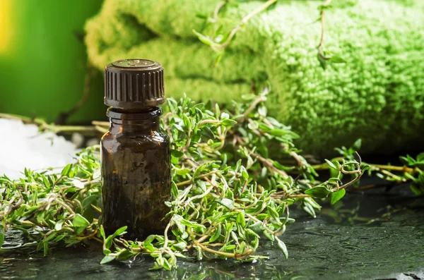 Essential oil of thyme in the spa concept