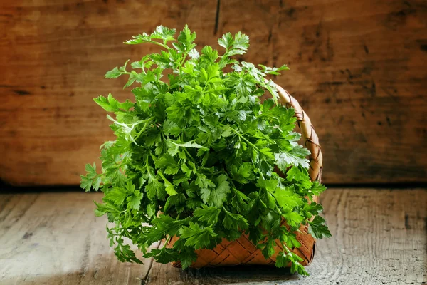 Bunch of green flat leaf Italian parsley in wicker basket