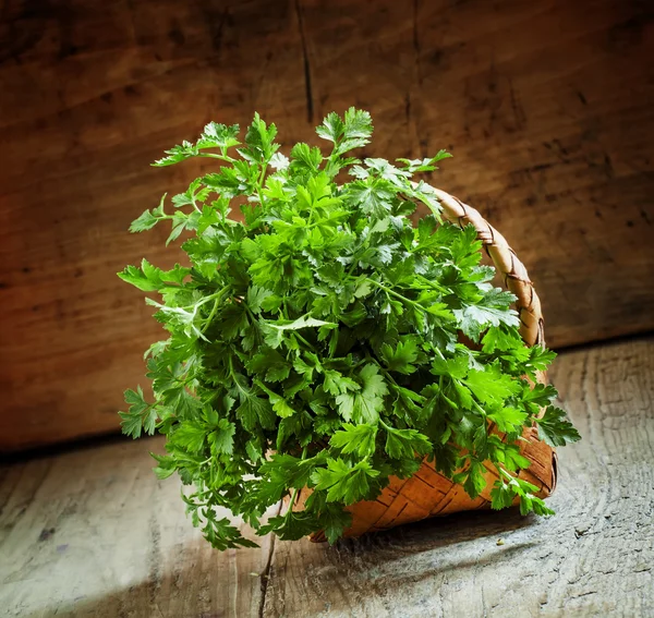 Bunch of green flat leaf Italian parsley in wicker basket