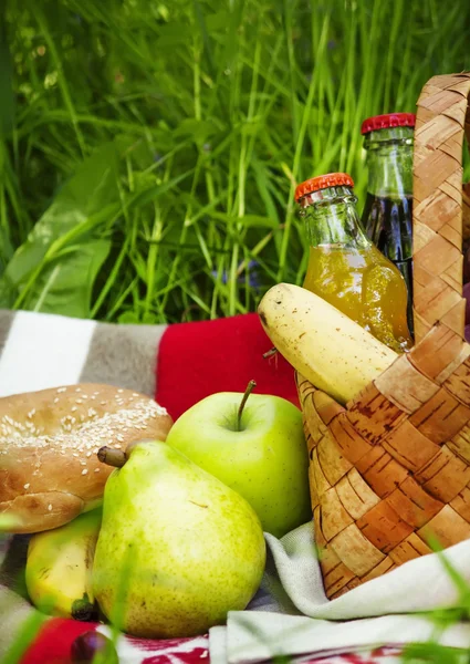 Picnic Basket with fruits and drinks on the meadow on a background