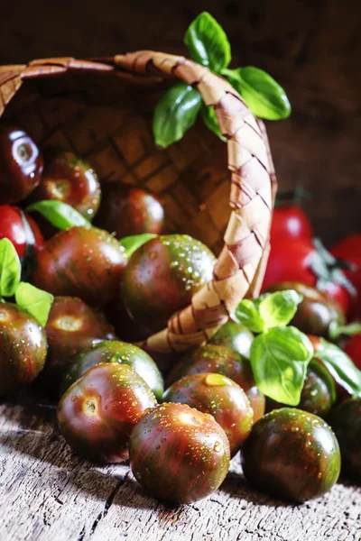 Striped brown tomatoes