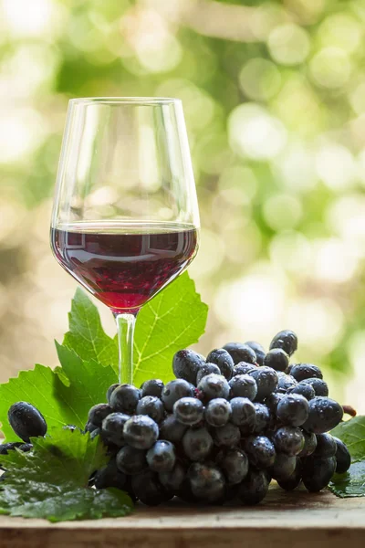 Red wine in a glass and fresh grapes