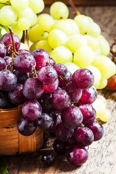 Purple round ripe grapes in a wicker basket