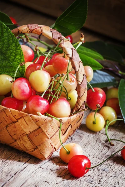 Yellow sweet cherries with leaves