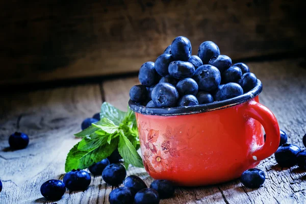 Ripe blueberries in red enamel mug