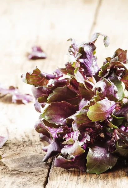 Purple basil on a wooden table