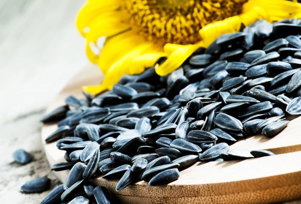 Sunflower seeds and flower