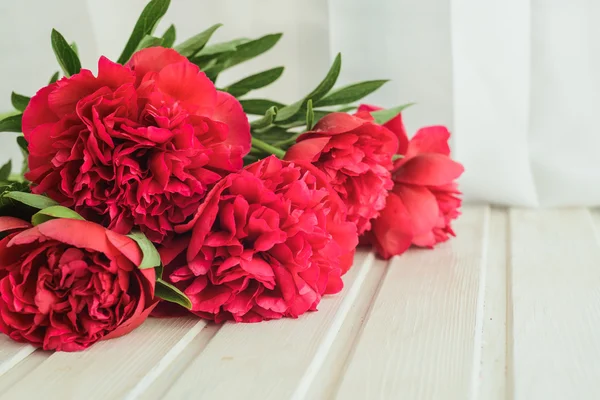 Spring-summer concept, a red peony bouquet on a white background with copyspace