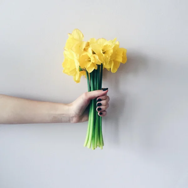 Yellow narcissus in hand
