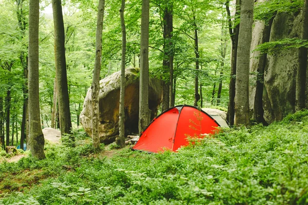 Camping tent in Forest