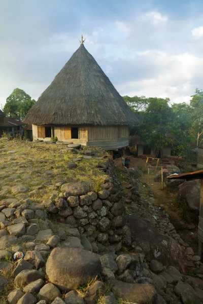 Ruteng Puu tradtional village, houses typical for the Manggarai district in Flores.