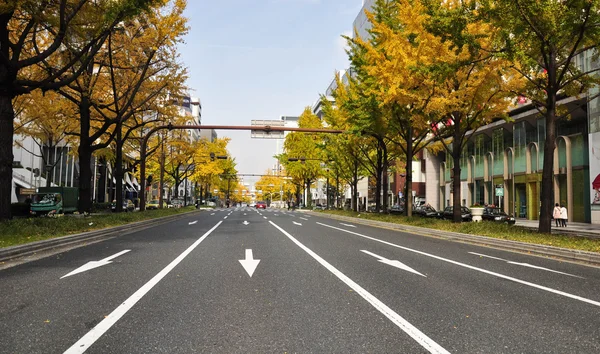 Road in Autumn ,Osaka Japan