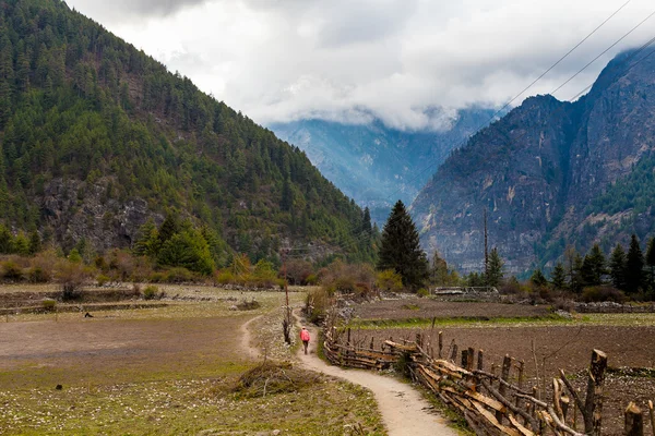 Nepalese Sherpa Hiking Mountain Trail Village.Old Man Walking Loaded Bags Track Traveler Beautiful Noth Asia.Himalaya Summer Valley Landscape Background.Horizontal Photo.