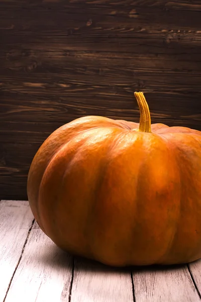 Huge orange and yellow pumpkin