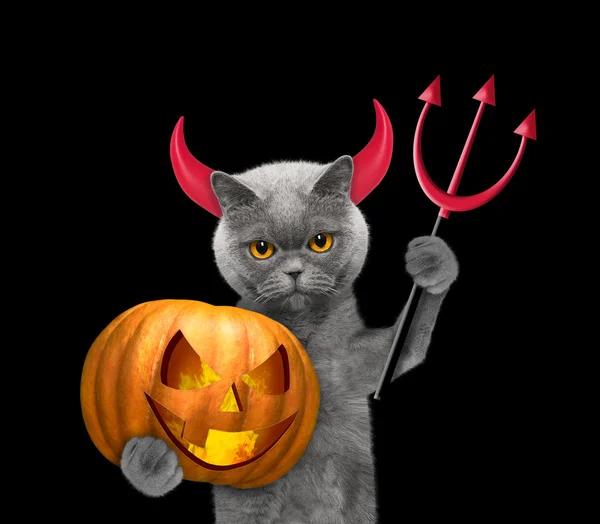 Cat costume Images Search Images on Everypixel