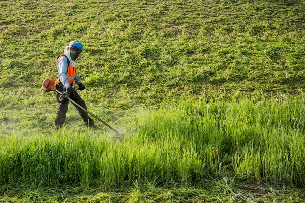 The worker in a uniform and mask cuts off a grass