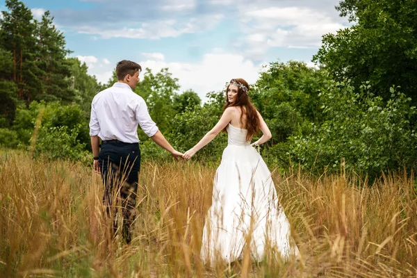 The couple in the ears of wheat in forest. The bride and groom in the wheat ears in the Park.