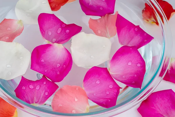 SPA composition: rose petals with drops in vase with water