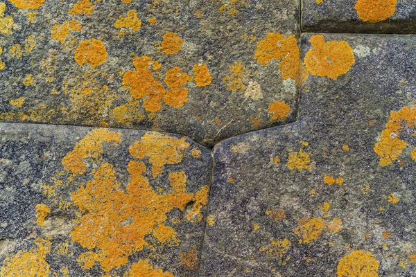Detail of Inca\'s perfect stonework with yellow mold. Wayllabamba
