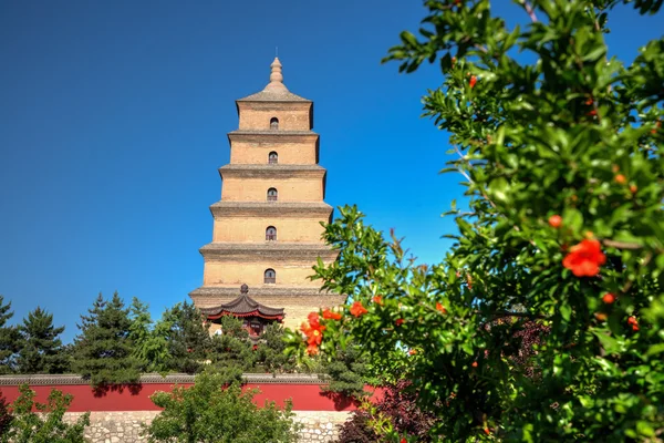 Ancient buildings, ancient city, asia, china, city, history, the blue sky, the wild goose pagoda, tourism
