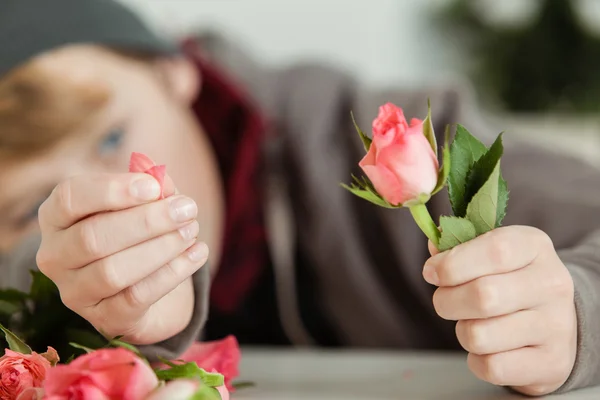 Teenage Boy Plucking Petals from Pink Rose