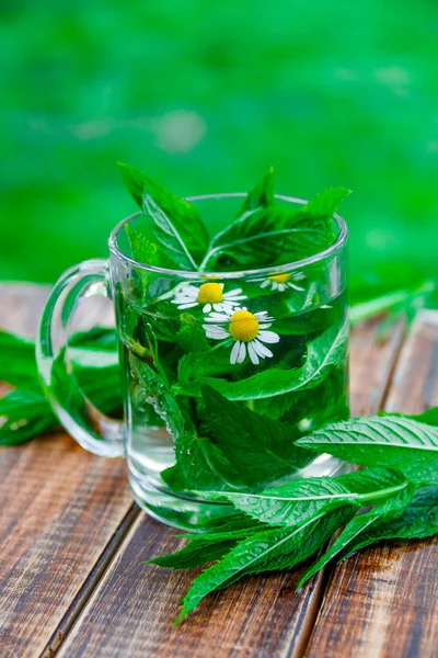 A cup of mint tea