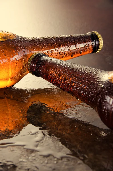 Cold beer bottles. Fresh beer bottles concept.  .