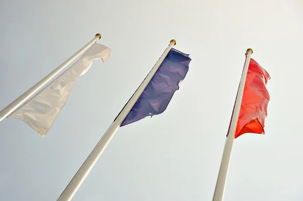 Stadium. Flag. Flag of country