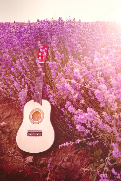 Classic small guitar laid on a lavender field row under the sunrise rays