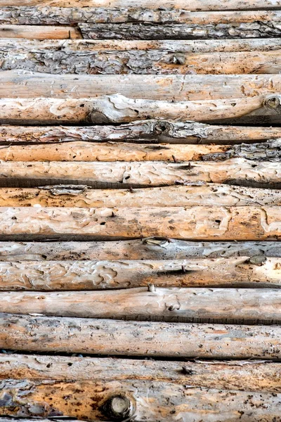 Close up of lined up pine tree trunks