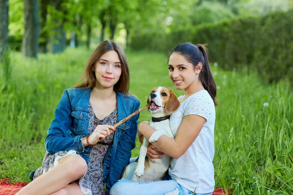 Two friends and beagle.Two young happy woman, having fun in brig