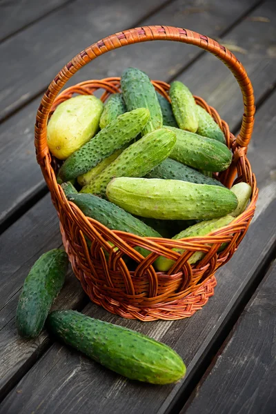 Ripe cucumbers with spices for pickling on a wooden rustic table